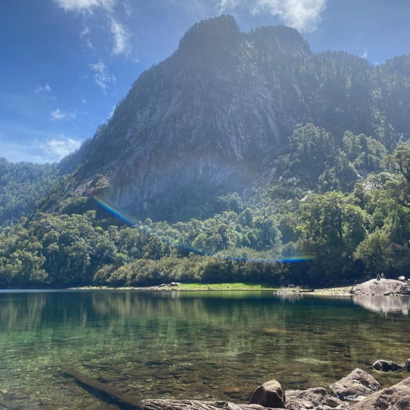 Trekking tour of the fascinating Alerce Andino National Park