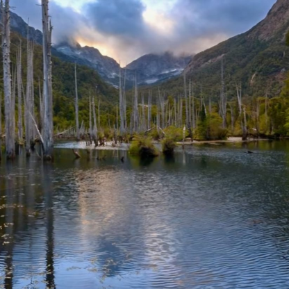 Tour Wonders of the Green Patagonia