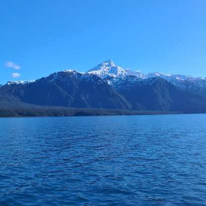 Tour Volcán Osorno - Saltos del Rio Petrohué