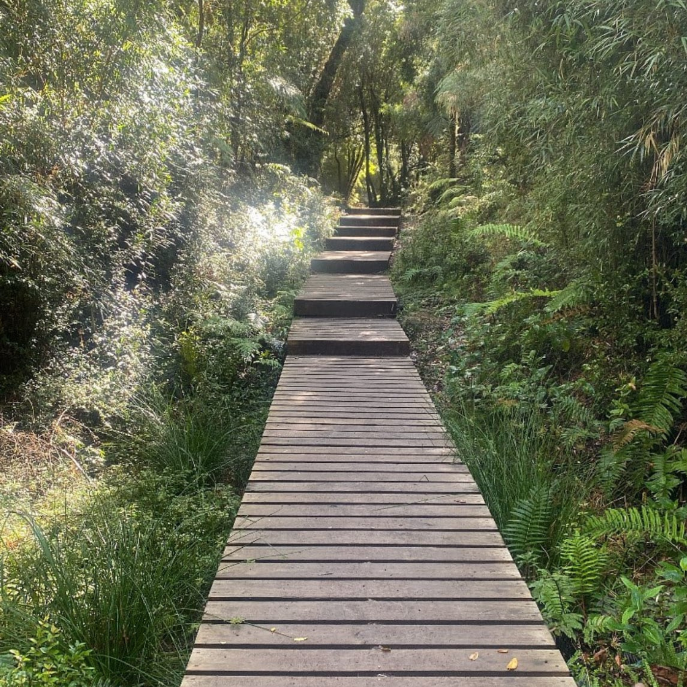 Trekking tour of the fascinating Alerce Andino National Park