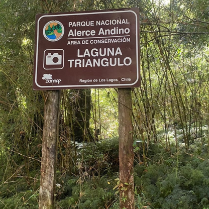 Trekking tour of the fascinating Alerce Andino National Park