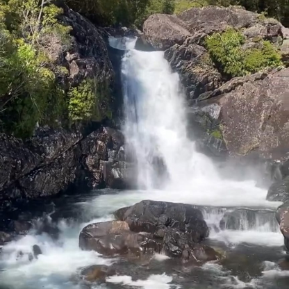 Trekking tour of the fascinating Alerce Andino National Park