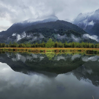 Trekking tour of the fascinating Alerce Andino National Park