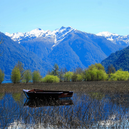 Trekking tour of the fascinating Alerce Andino National Park