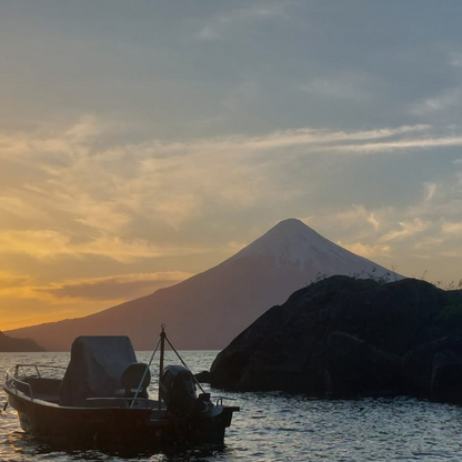 Tour Volcán Osorno - Saltos del Rio Petrohué